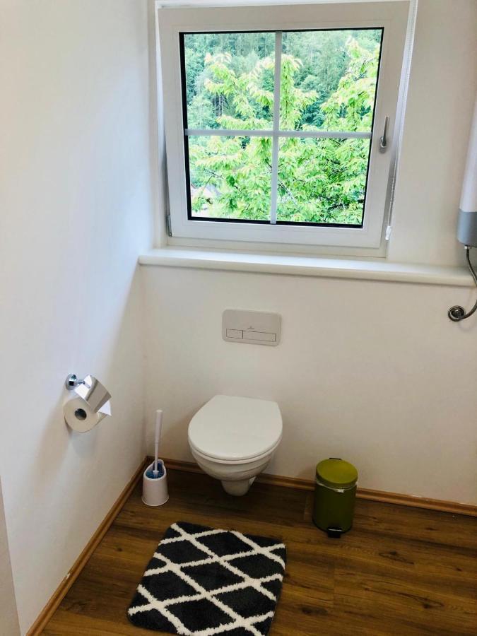 Alpine Appartments Ausseerland Bad Aussee Ngoại thất bức ảnh