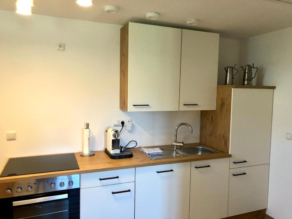 Alpine Appartments Ausseerland Bad Aussee Ngoại thất bức ảnh